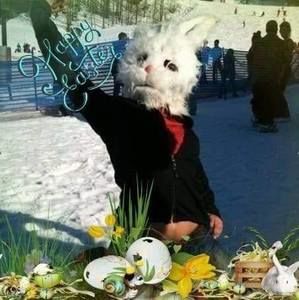 Meet your Posher, Mary von